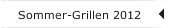 Sommer-Grillen 2012