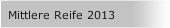 Mittlere Reife 2013