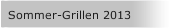 Sommer-Grillen 2013