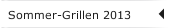 Sommer-Grillen 2013